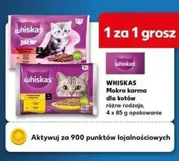Kaufland Karma dla kota drobiowa uczta w galaretce Whiskas oferta