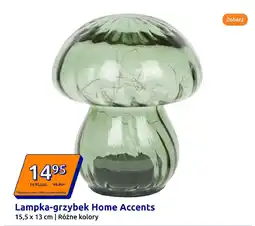 Action Lampka-grzybek Home Accents oferta