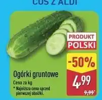 ALDI Ogórek gruntowy oferta