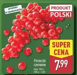 ALDI Porzeczka czerwona oferta