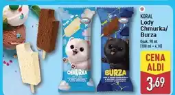 ALDI Lód burza Koral oferta