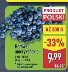 ALDI Borówki amerykańskie polska oferta