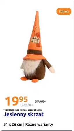 Action Jesienny skrzat oferta