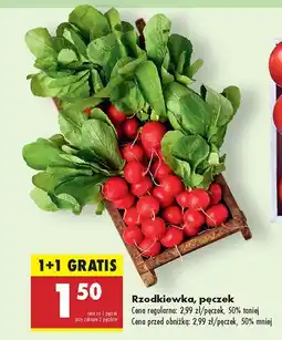 Biedronka Rzodkiewka, pęczek Biedronka oferta