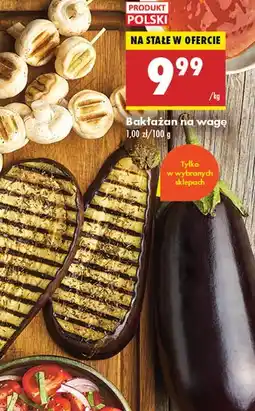 Biedronka Bakłażan Biedronka oferta