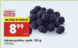 Biedronka Jeżyna polska Biedronka oferta