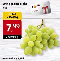 Market Point Winogrono białe Market Point oferta