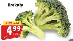 Prim Market Brokuły Prim Market oferta