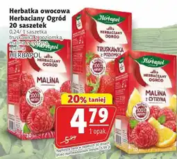 Prim Market Herbata owocowa Herbaciany Ogr贸d malina z cytryn膮 20 saszetek Herbapol oferta