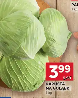 Stokrotka Kapusta na gołąbki Stokrotka oferta