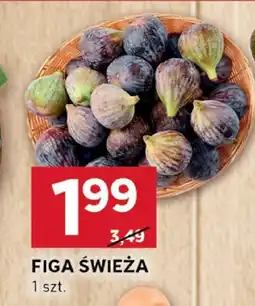 Stokrotka Figa świeża Stokrotka oferta