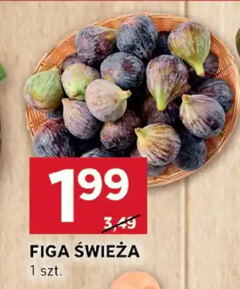 Stokrotka Figa świeża Stokrotka oferta