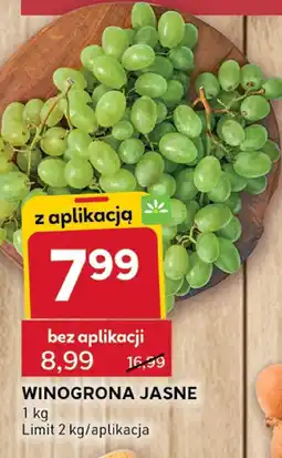 Stokrotka Winogrona jasne Stokrotka oferta