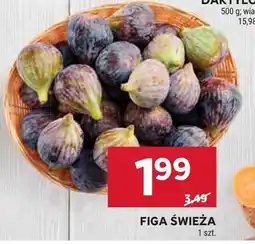 Stokrotka Figa świeża Stokrotka oferta