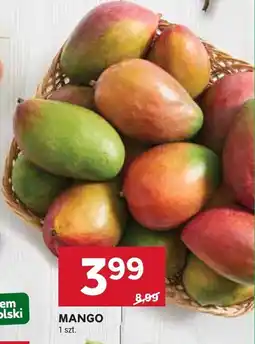 Stokrotka Mango Stokrotka oferta