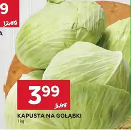 Stokrotka Kapusta na gołąbki Stokrotka oferta
