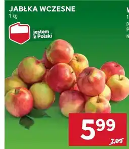 Stokrotka Jabłka wczesne Stokrotka oferta