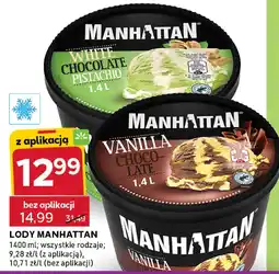 Stokrotka Lody Manhattan różne rodzaje oferta