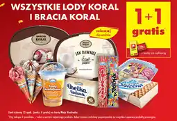 Biedronka Lody Koral i Bracia Koral oferta