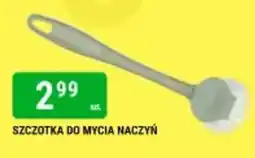bi1 Szczotka do mycia naczyń oferta