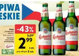 Intermarche Piwo oferta
