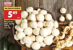 Biedronka Pieczarka mini 1 opak. Biedronka oferta
