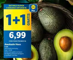 Lidl Awokado HASS oferta
