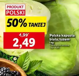 Lidl Polska kapusta biała, luzem oferta