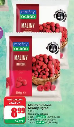 Dino Mrożone maliny Mroźny ogród oferta