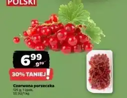 Netto Porzeczka czerwona oferta