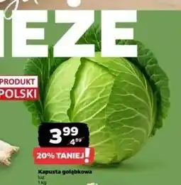 Netto Kapusta na gołąbki oferta