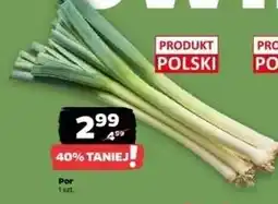 Netto Por polska oferta