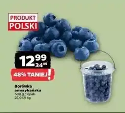 Netto Borówka amerykańska oferta