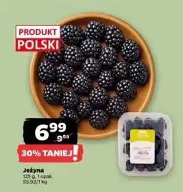 Netto Jeżyny polska Z Zieleniaka Netto oferta