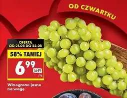 Biedronka Winogrona jasne oferta