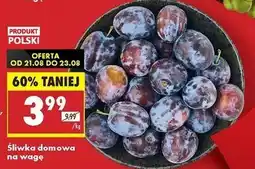 Biedronka Śliwki polska oferta