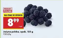 Biedronka Jeżyny polska oferta