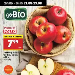 Biedronka Jabłka polskie Gobio oferta