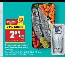 Biedronka Pstrąg tęczowy patroszony Marinero oferta