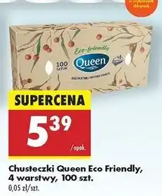 Biedronka Chusteczki higieniczne eco firendly Queen oferta