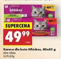 Biedronka Karma dla kota rybne przysmaki Whiskas oferta