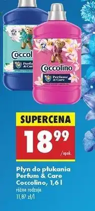 Biedronka Płyn do płukania passion flower & bergamot Coccolino Perfume Care oferta