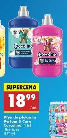 Biedronka Płyn do płukania tiare flower & red fruits Coccolino Perfume Care oferta