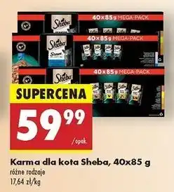 Biedronka Karma dla kota wybór smakó Sheba Nature's Collection oferta