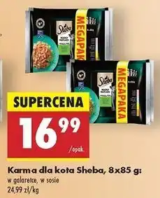 Biedronka Karma dla kota w sosie Sheba oferta
