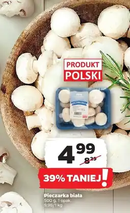 Netto Pieczarka biała 1 opak. Netto oferta