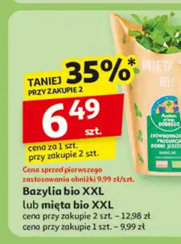 Auchan Mięta bio XXL Auchan oferta