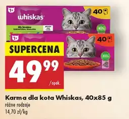 Biedronka Karma dla kota Whiskas oferta