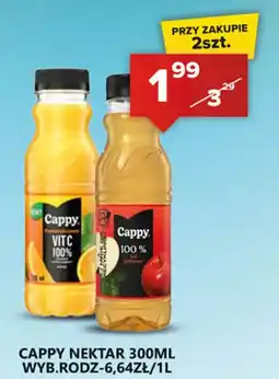 Spiżarnia Smakosza CAPPY NEKTAR oferta