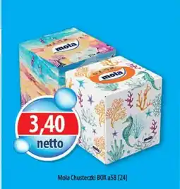 DUO-TES Mola Chusteczki BOX oferta